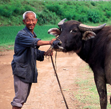 小型飼料顆粒機(jī),農(nóng)民圓夢！